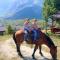 Dedushi Guesthouse &Wood cabins-Camping place