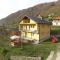 Dedushi guesthouse &wod cabin-camping place - Gusinje