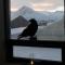 Scenic Penthouse - Ocean view & skylight windows - 锡格吕菲厄泽