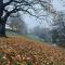 Folly View - Private, peaceful apartment with stunning views. - Pateley Bridge