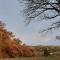 Folly View - Private, peaceful apartment with stunning views. - Pateley Bridge
