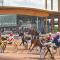 Studio face mer pour 2 pers à Châtelaillon-Plage avec parking - FR-1-535-22