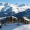 Duplex spacieux 8 pers avec parking au pied des pistes à Auris en Oisans - FR-1-297-82