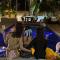Private Pool Villas by Honey-5 miles from Central Pattaya Beach - Nong Prue