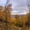 The Four One Two Lodge at Eagles Nest - بيتش ماونتن