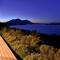 Vineyard Setting With 180 Panoramic Lake Views
