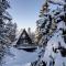 LUXE VISTA Mountain Chalet Cermis - mitten auf der Alm und Skipiste