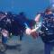 La Tortue Diving Resort Dauin