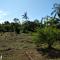 Pedacinho do Paraiso