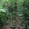 Yatama Rainforest Ecolodge - Sarapiquí