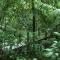 Yatama Rainforest Ecolodge