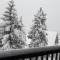 Grand Appartement dans Chalet Serre Chevalier à 8 minutes des pistes