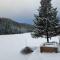 Middle Pond Cabin- Direct ATV & Snowmobile Access - Pittsburg