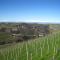 Ca dra Topia the Grape Pergola House near Alba Charming house - Italy