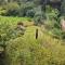 Seaside Cottage, 8min walk to beach. Dog friendly. - 诺里奇