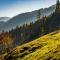 Ahornhütte