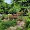 ReRooted Permaculture Farmstay