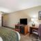 Comfort Inn & Suites - near Robins Air Force Base Main Gate