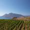 Tenuta di Castellaro Winery & Resort - Lipari