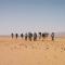 Bivouac Les Nomades & Foum zguid to chegaga tours - Foum Zguid