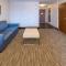 Holiday Inn Express Hotel & Suites Salisbury - Delmar, an IHG Hotel - Delmar