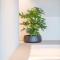 The Penthouse Nami, Branding, Ultra Luxurious Japanese Design Sea View