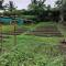 Farmstay @ Villa Bambusa - Amadeo