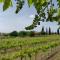 Agriturismo La Vigna