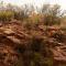 Desert Pearl ⁠— Quick Drive from Big Bend