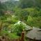Forest falls Garden Maerim Chiangmai ตาดปลาแคมป์ออร์แกนิคฟาร์มสเตย์เชียงใหม่