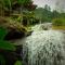 Forest falls Garden Maerim Chiangmai ตาดปลาแคมป์ออร์แกนิคฟาร์มสเตย์เชียงใหม่