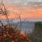 Wincliff Orchard Resort