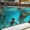 Spazzio Diroma Acqua e Splash Caldas novas, GRATIS PARK