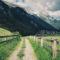 Arlberghaus Rocks - Flirsch