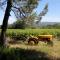 Domaine Faverot photo 14