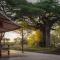 Baobab Tented Camp - Kwa Kuchinia