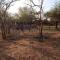 Marloth Kruger View