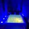 La suite romantique Jacuzzi,parking gratuit,centre - Sens