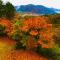 gran terrace Le Lien Hakone