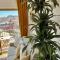 Superb top floor studio, Biarritz center.