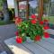 Saules Street Home