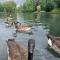 Beddington Park Lodge West
