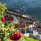 Alpenblick Nr 9