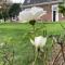 Landhuis De Ontspanning