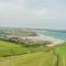 Palm Trees - Polzeath