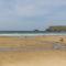 Palm Trees - Polzeath