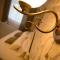 Luxury Apartments with Jacuzzi