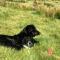 Dog friendly Cottage, Geufron Farm Near Tywyn - Bryn-crug