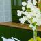 Nicocreon Guest House