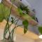 Anastasios' artwork apartment - Salonicco